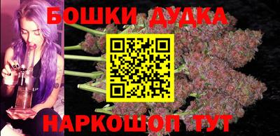 сатива Лесосибирск