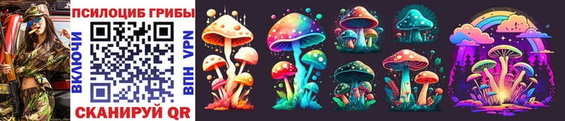 где найти Горячий Ключ Псилоцибиновые грибы Magic Shrooms