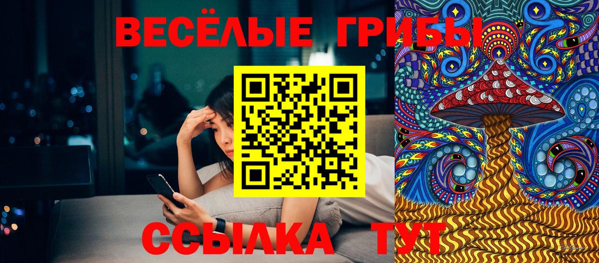 Горячий Ключ  Псилоцибиновые грибы Cubensis  Вход с VPN 