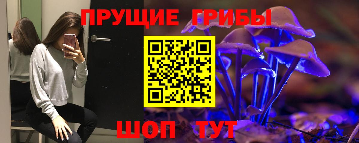 Псилоцибиновые грибы мицелий Горячий Ключ