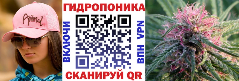 Бошки Шишки ГИДРОПОН  Горячий Ключ 
